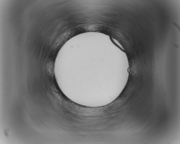 X0000102360044200808221726