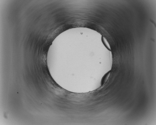 X0000102360045200808221726