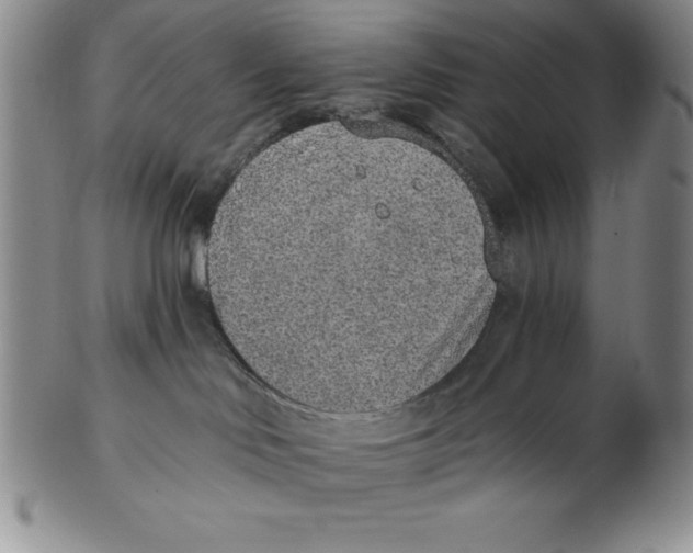 X0000102360046200808221726