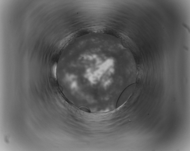 X0000102360047200808221726