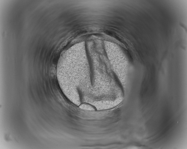 X0000102360048200808221726