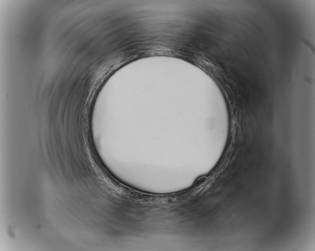 X0000102360049200808221725