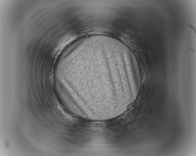 X0000102360050200808221725