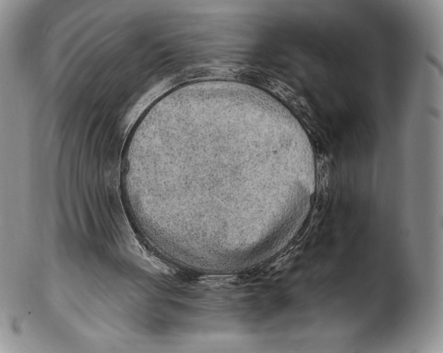 X0000102360051200808221725