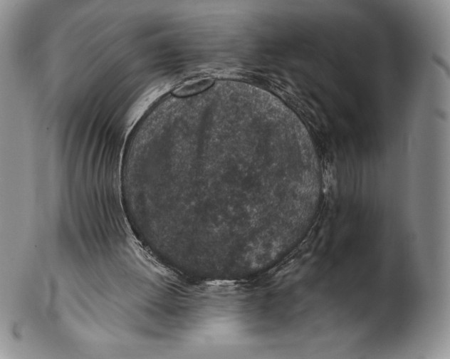 X0000102360052200808221725