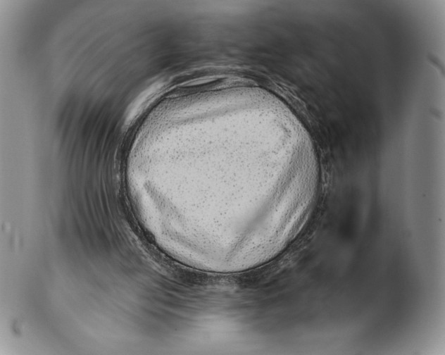 X0000102360053200808221725