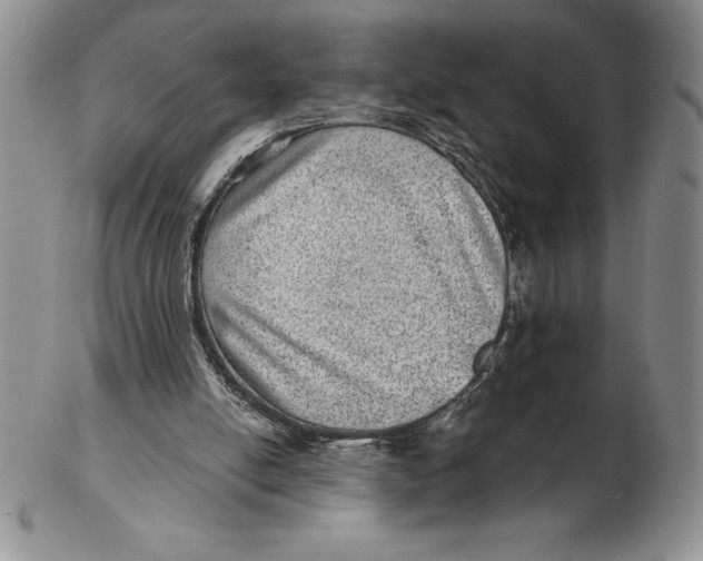 X0000102360054200808221725