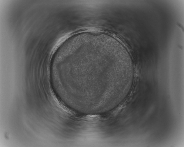 X0000102360055200808221725