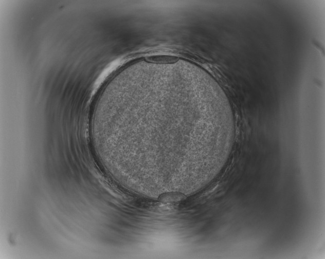 X0000102360056200808221725