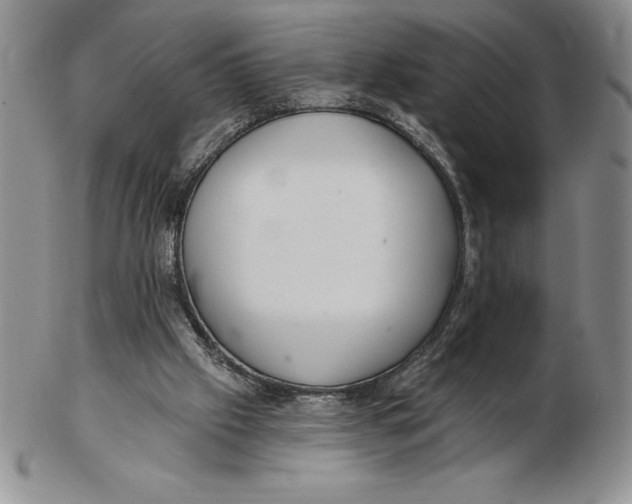 X0000102360057200808221725