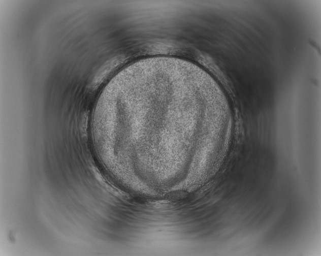 X0000102360058200808221725