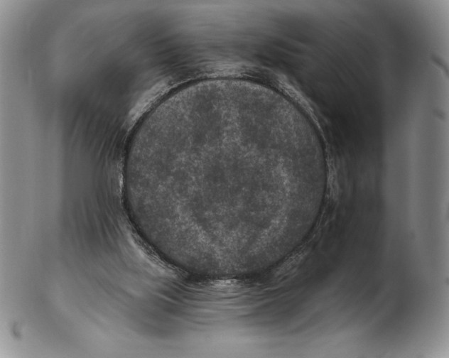 X0000102360059200808221725