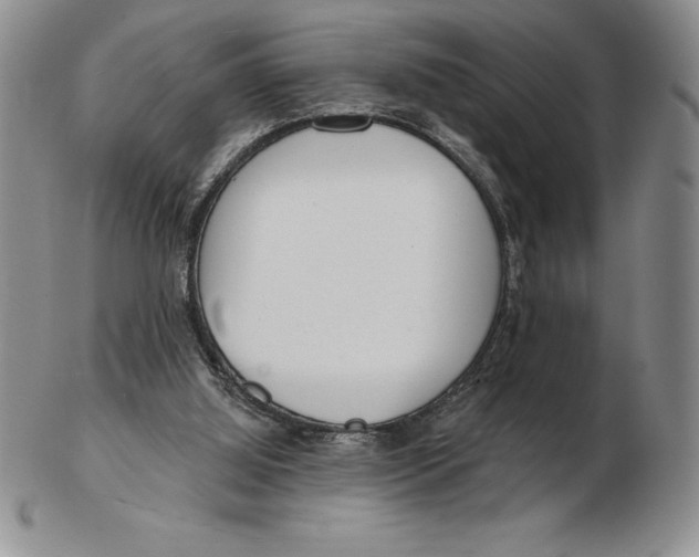 X0000102360060200808221725