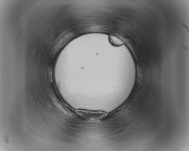 X0000102360061200808221725