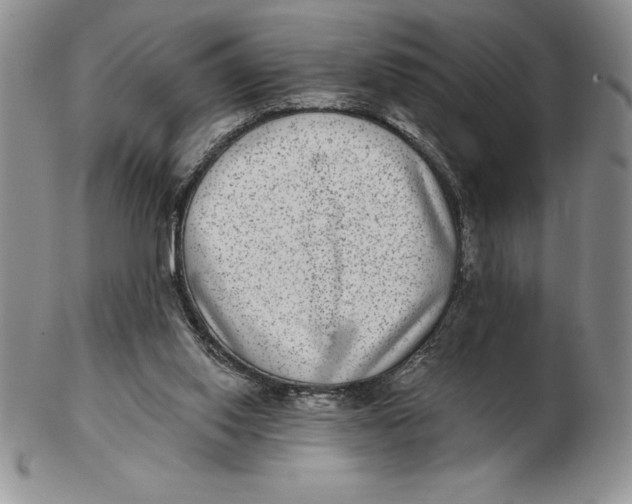 X0000102360062200808221725