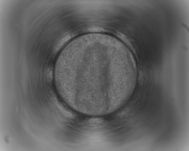 X0000102360063200808221725