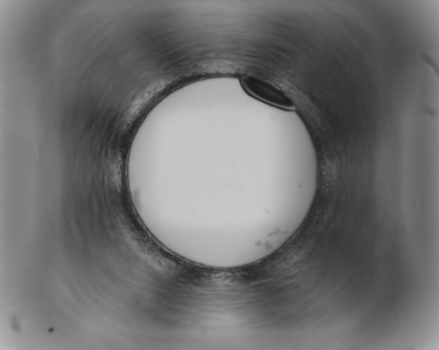 X0000102360064200808221725