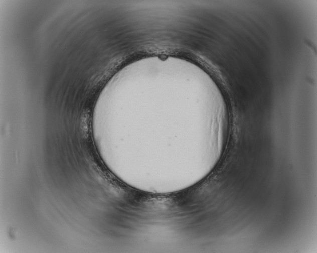 X0000102360065200808221725