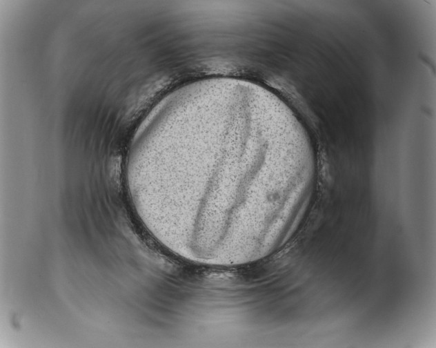 X0000102360066200808221725