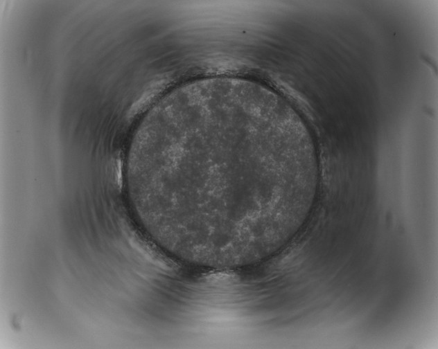 X0000102360067200808221725