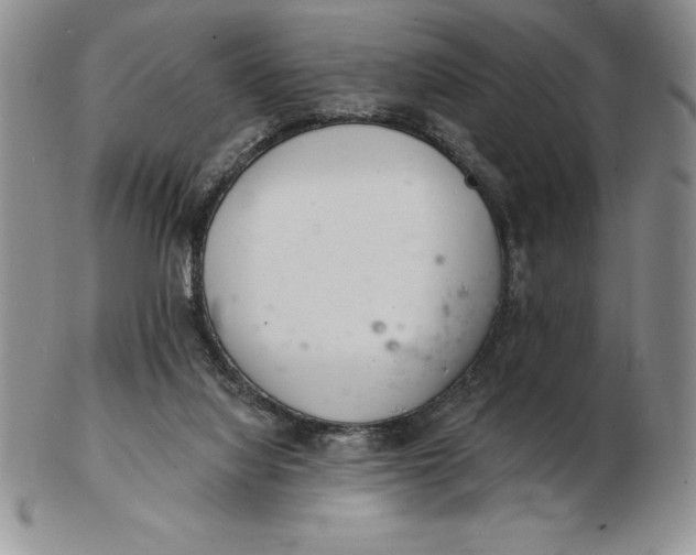 X0000102360068200808221725