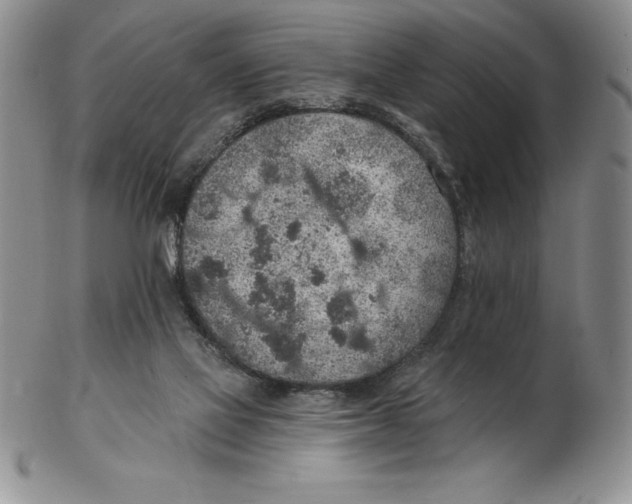 X0000102360069200808221725