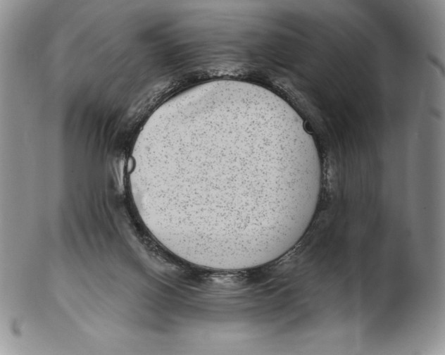 X0000102360070200808221725