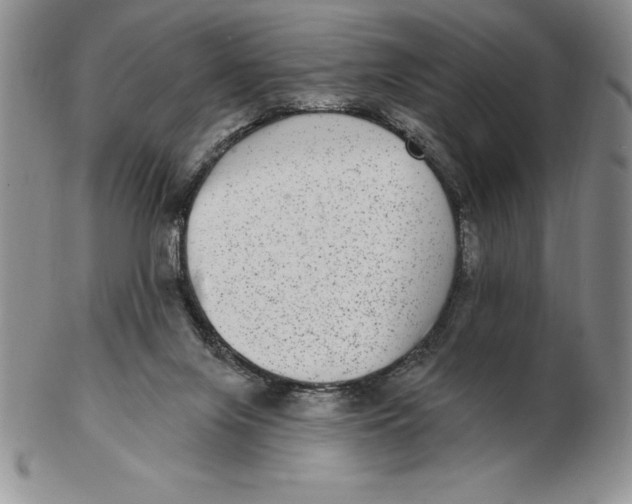 X0000102360071200808221725