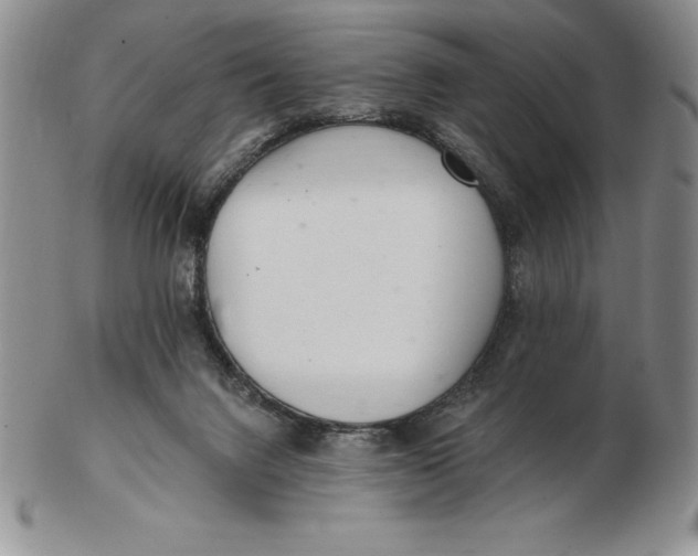 X0000102360072200808221725