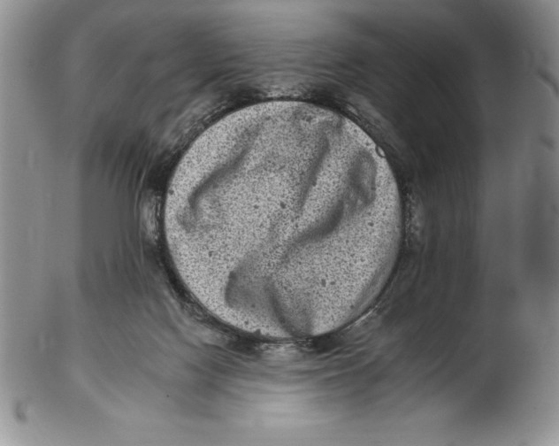 X0000102360074200808221725