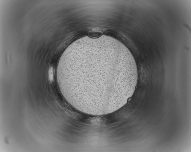 X0000102360075200808221725