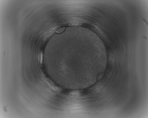 X0000102360076200808221725