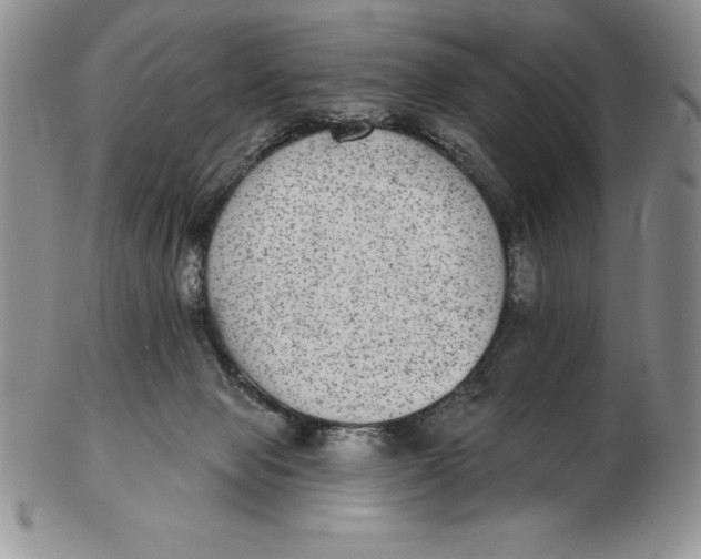 X0000102360077200808221725