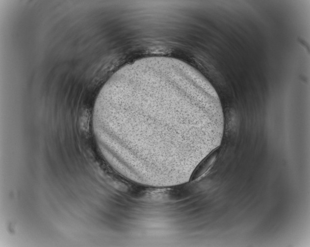 X0000102360078200808221725