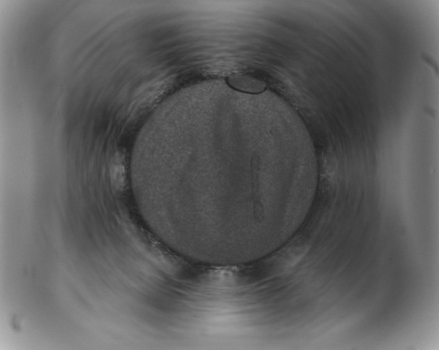 X0000102360080200808221726