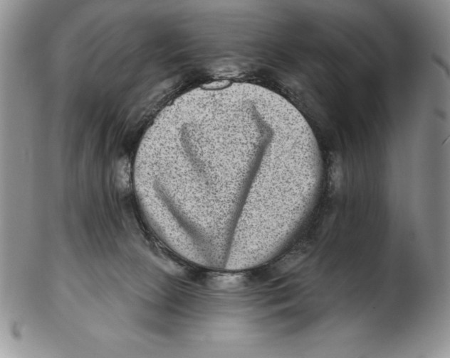 X0000102360081200808221726