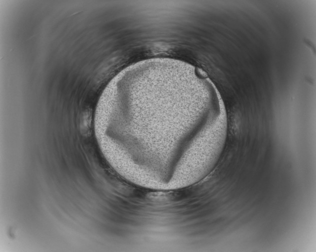 X0000102360082200808221726