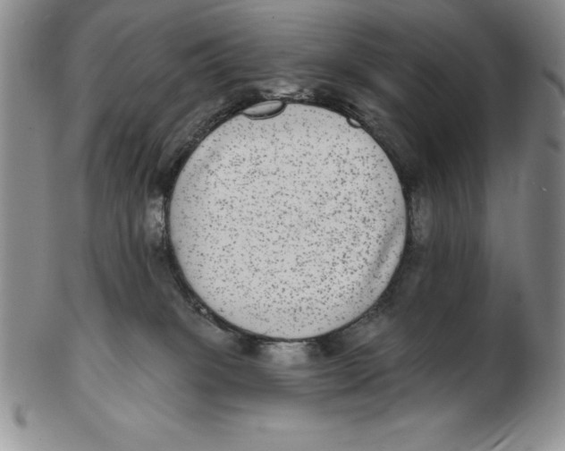 X0000102360085200808221726