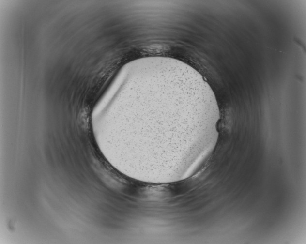 X0000102360086200808221726