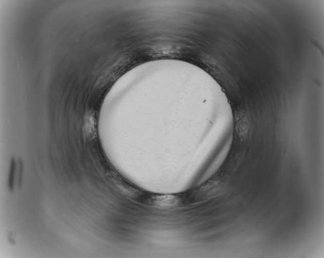 X0000102360087200808221726