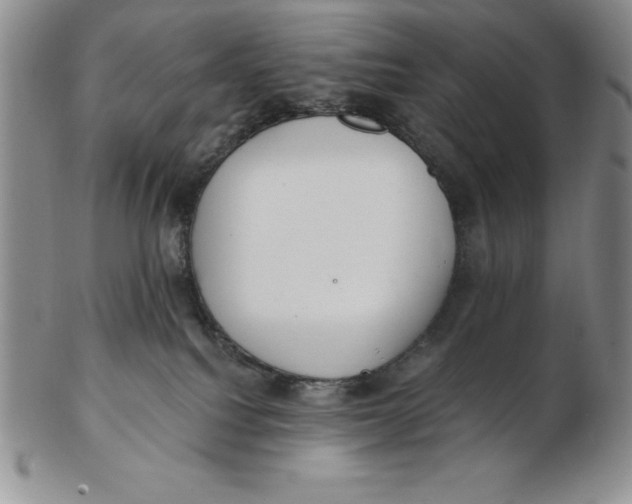 X0000102360088200808221726