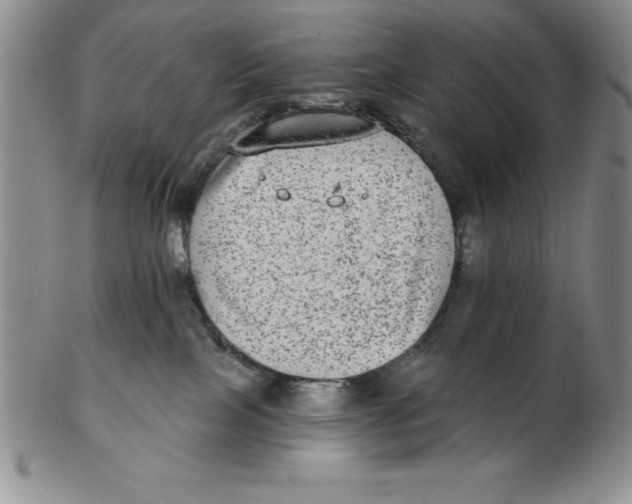 X0000102360089200808221726