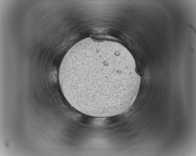 X0000102360090200808221726