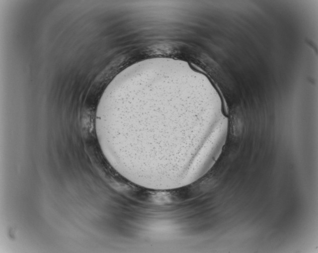 X0000102360091200808221726