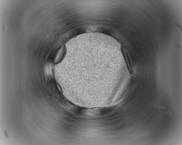 X0000102360094200808221726