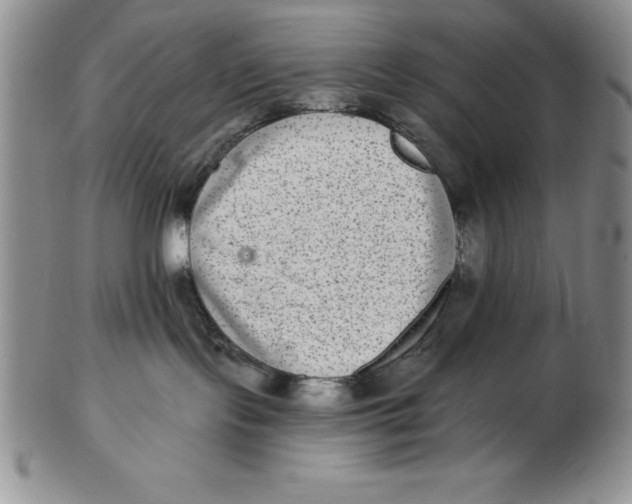 X0000102360095200808221726