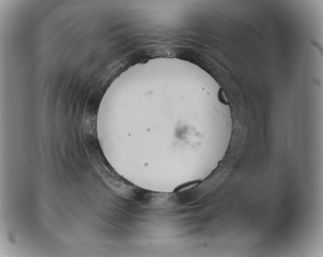 X0000102360096200808221726