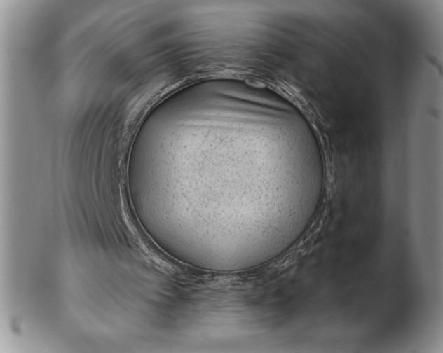 X0000102360097200808221725