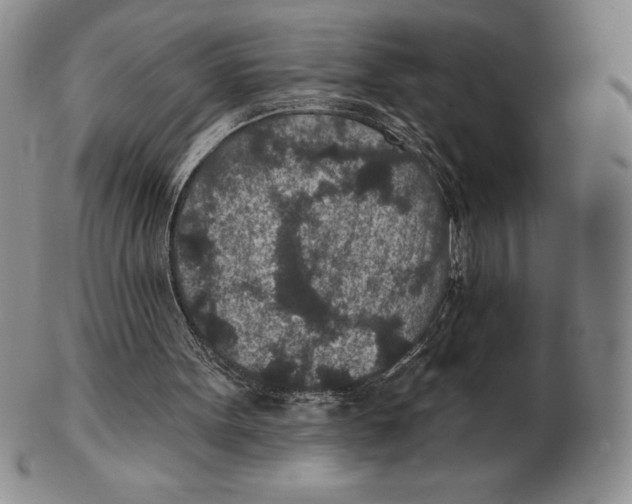 X0000102360099200808221725