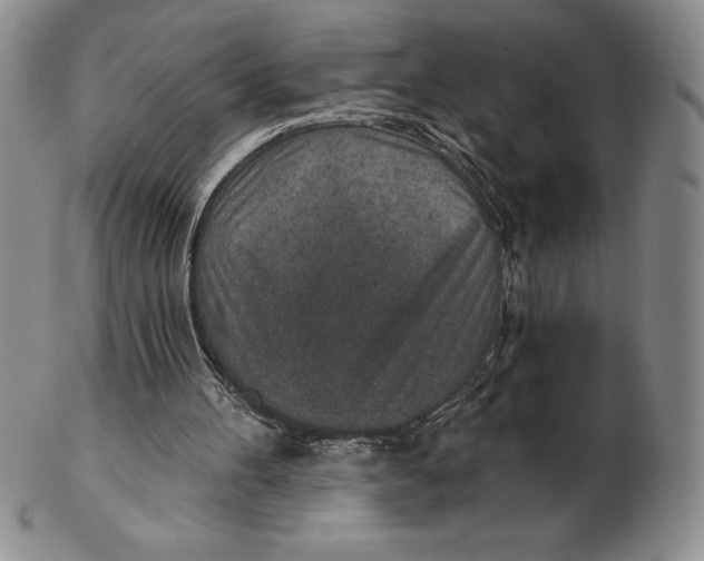 X0000102360100200808221725